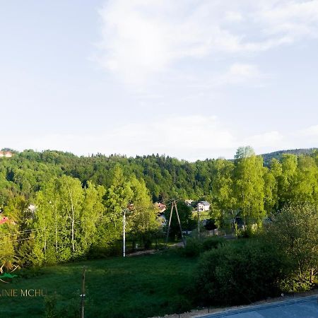 Apartamenty "Kwiaty Nocy" I "W Krainie Mchu" - Wisla Bagian luar foto