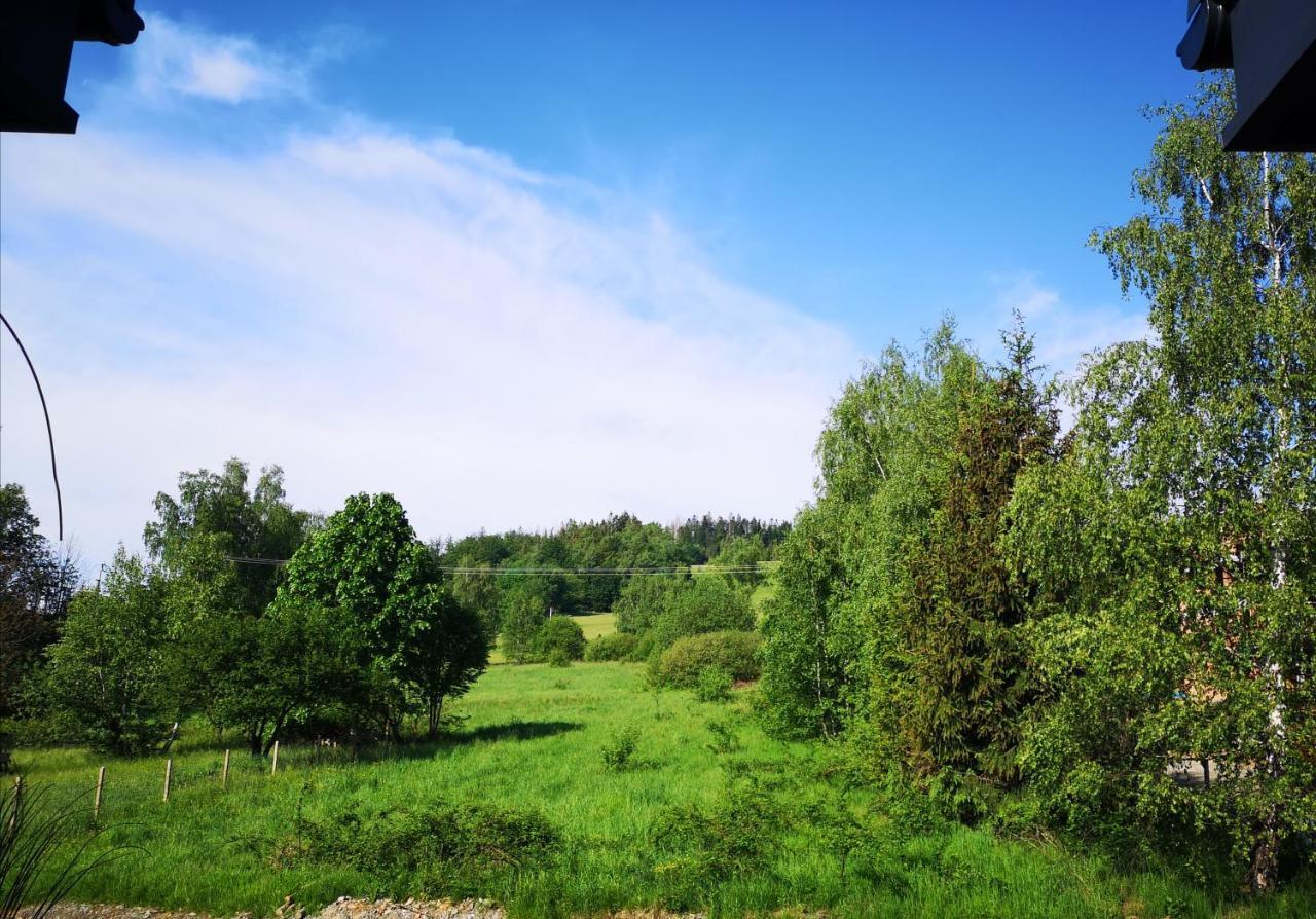 Apartamenty "Kwiaty Nocy" I "W Krainie Mchu" - Wisla Bagian luar foto