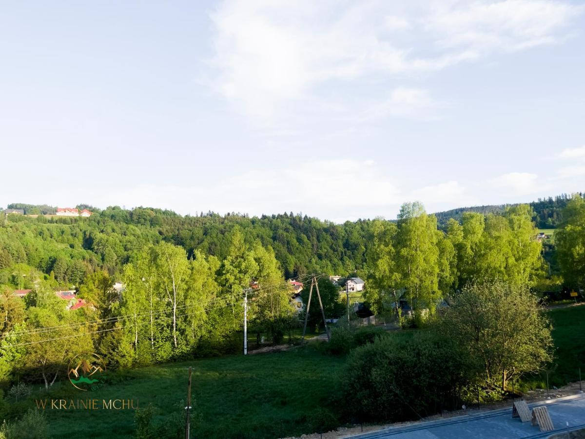 Apartamenty "Kwiaty Nocy" I "W Krainie Mchu" - Wisla Bagian luar foto