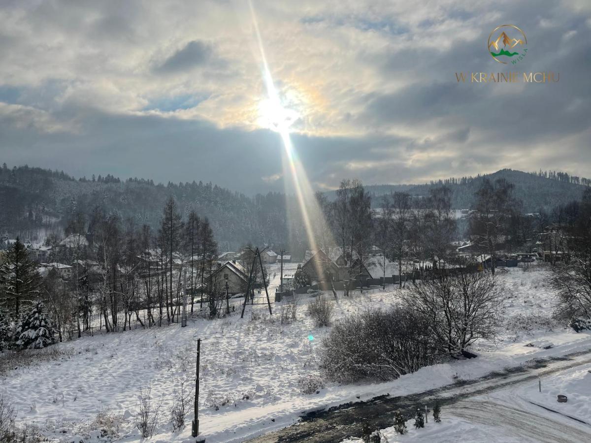 Apartamenty "Kwiaty Nocy" I "W Krainie Mchu" - Wisla Bagian luar foto